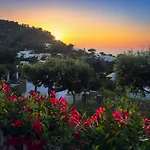 Domenicanda Vila