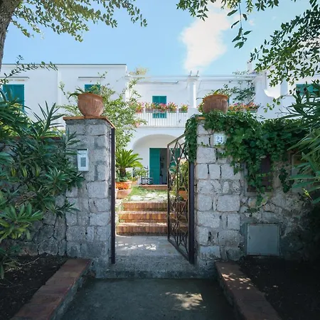 Domenicanda Capri