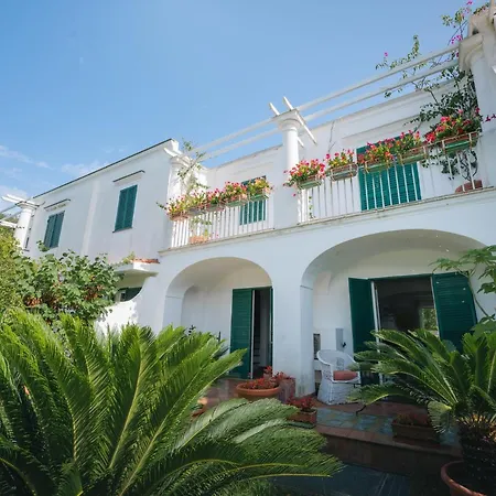 Domenicanda * Capri