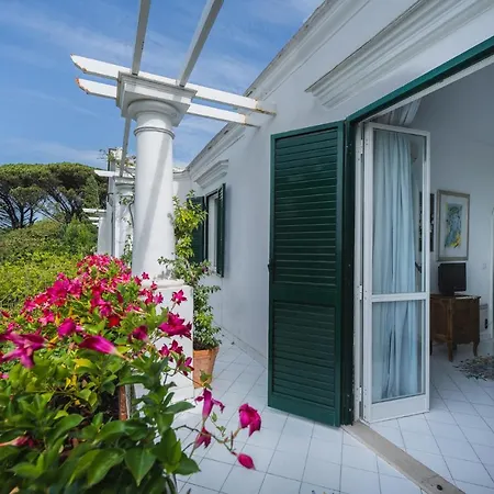 Domenicanda * Capri