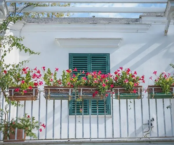 וילה Domenicanda