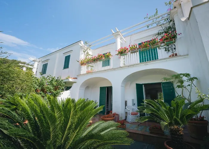 Domenicanda * קאפרי