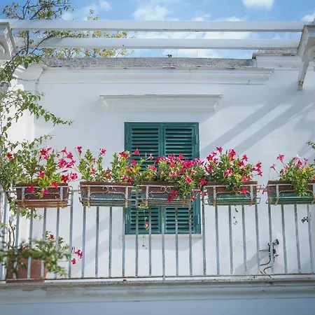 Villa Domenicanda